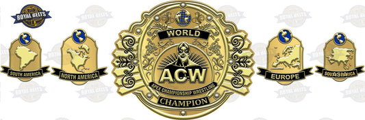 Professional custom championship title belt with engraved plates and leather strap