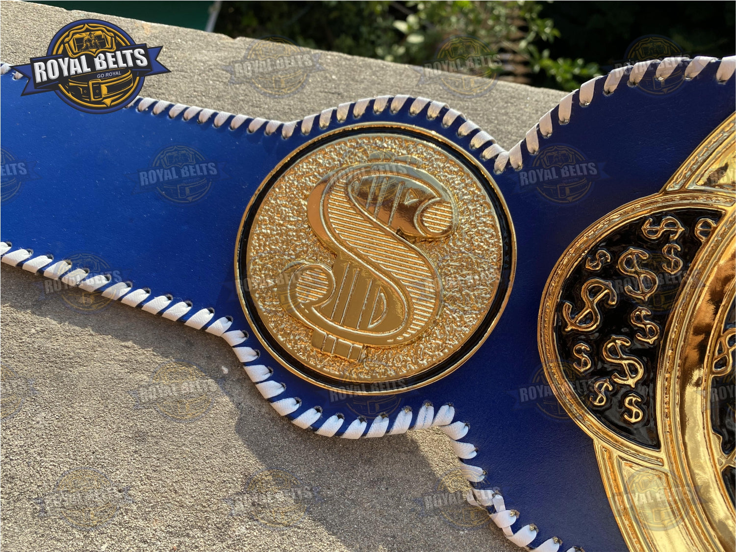 Dollar Custom Title Belt heavyweight trophy belt, stacked plate belt money theme design