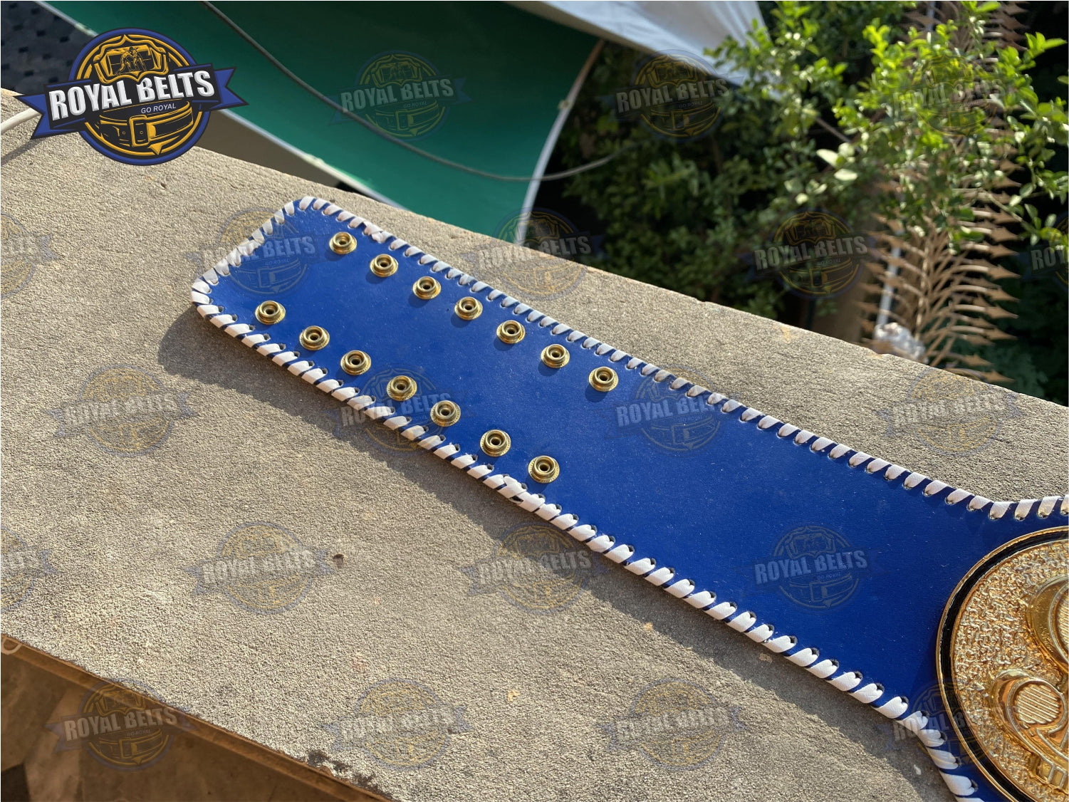 Dollar Custom Title Belt money title belt replica, laced strap belt adult size