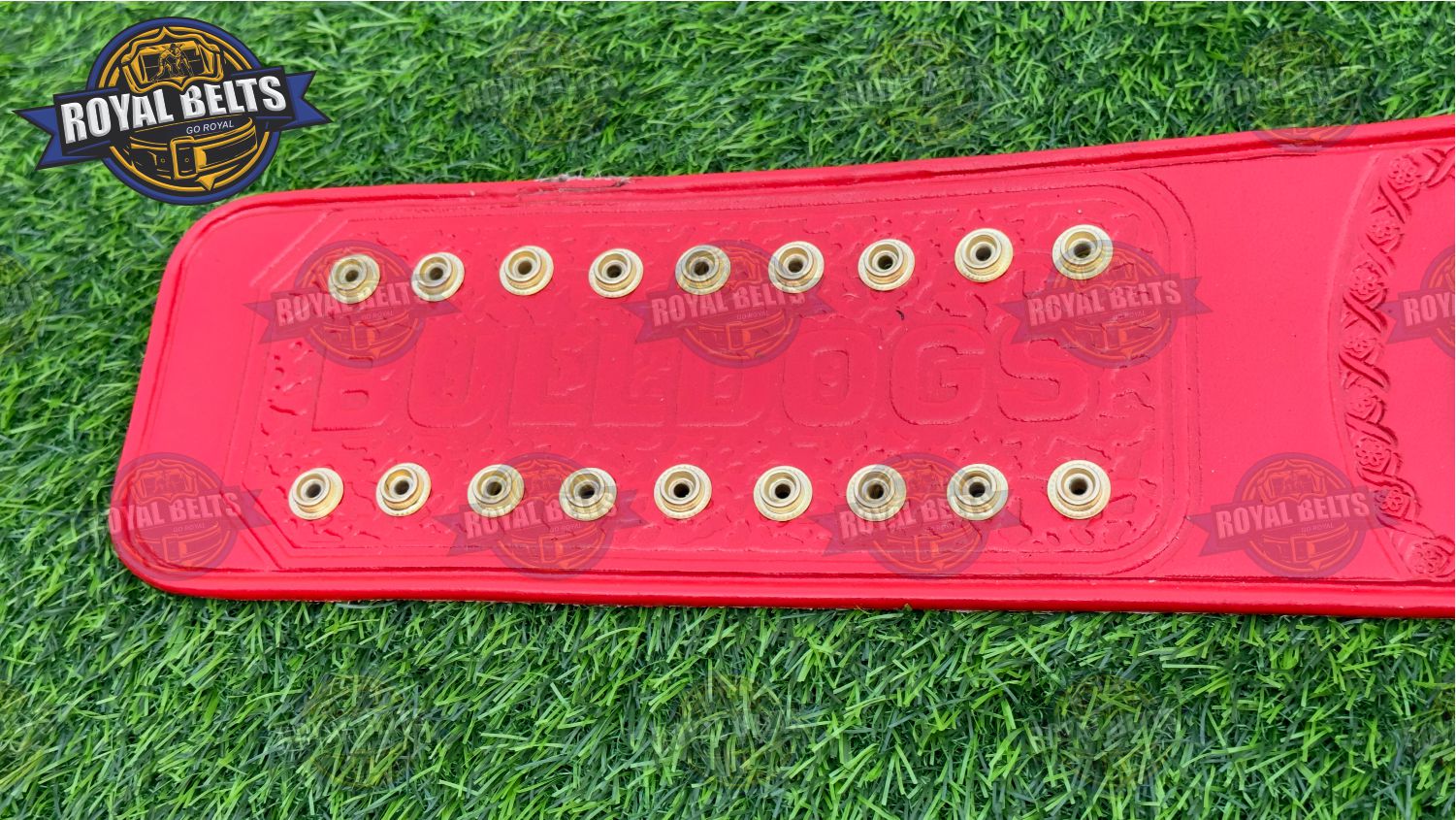 Georgia Bulldog Football Title Belt New Logo classic college football title design