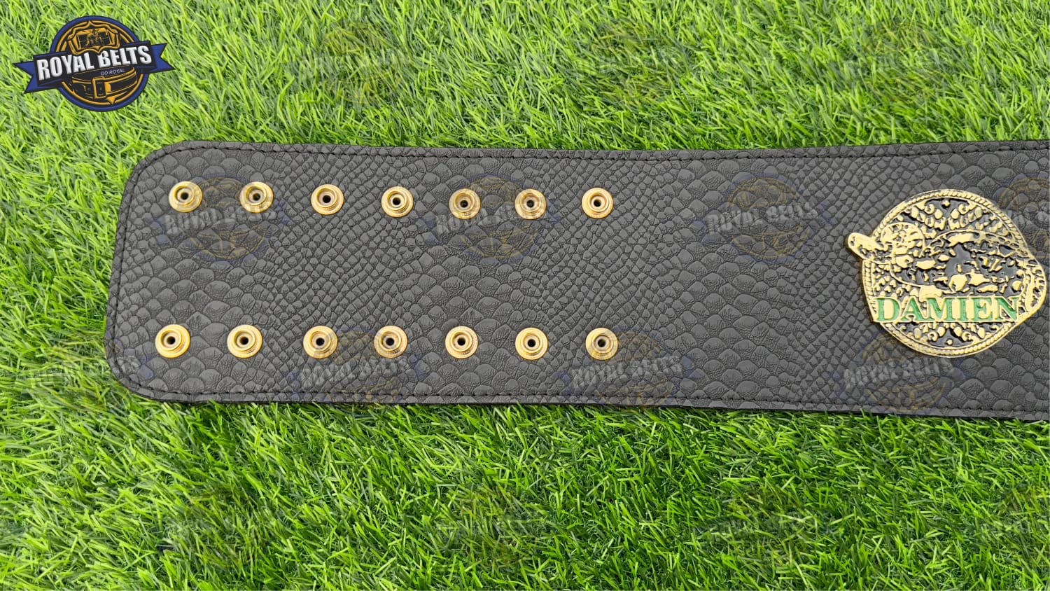 Jake The Snake wrestling championship belt with reinforced leather backing