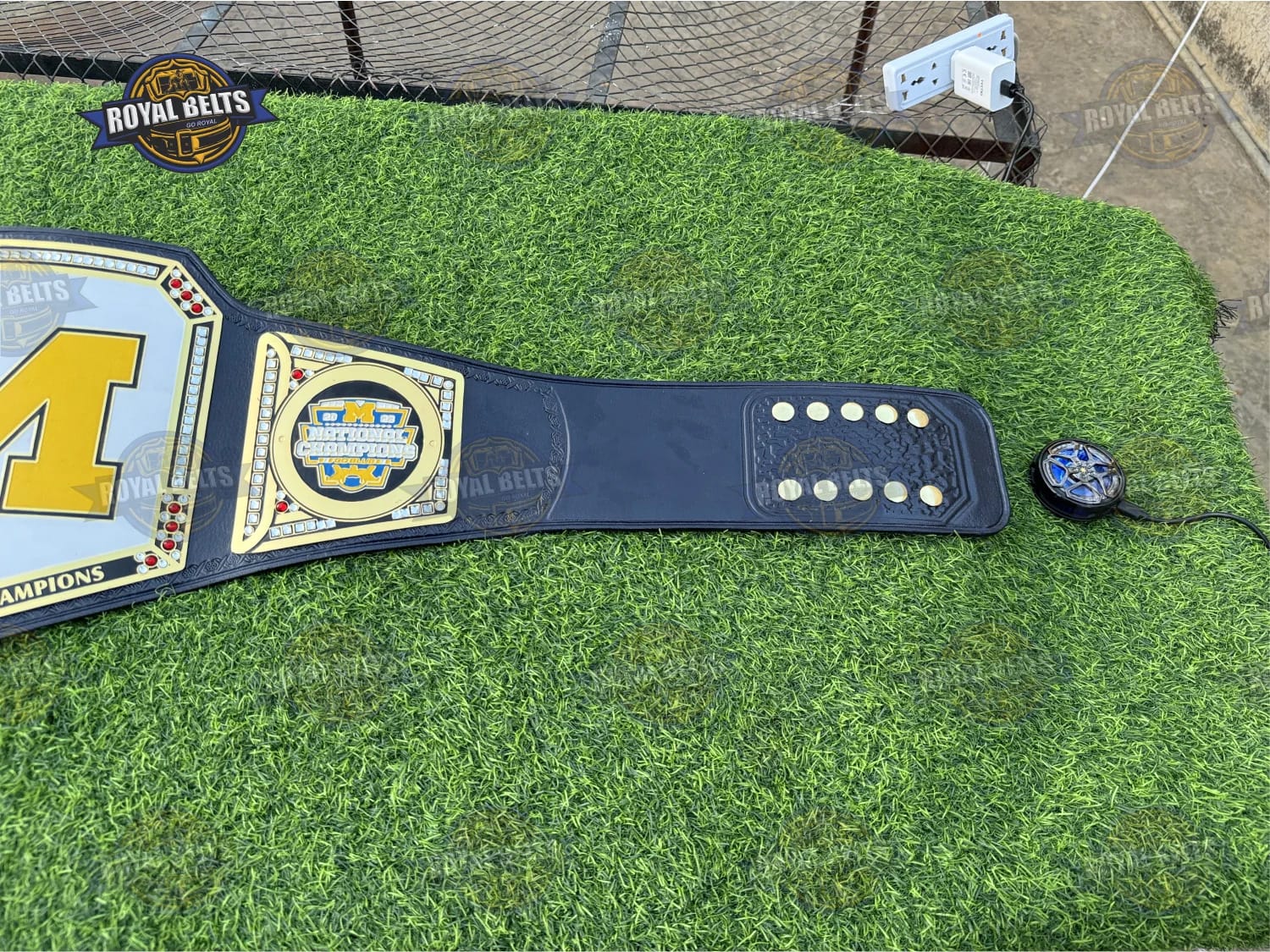 WWE Legacy Michigan Wolverines custom championship title belt