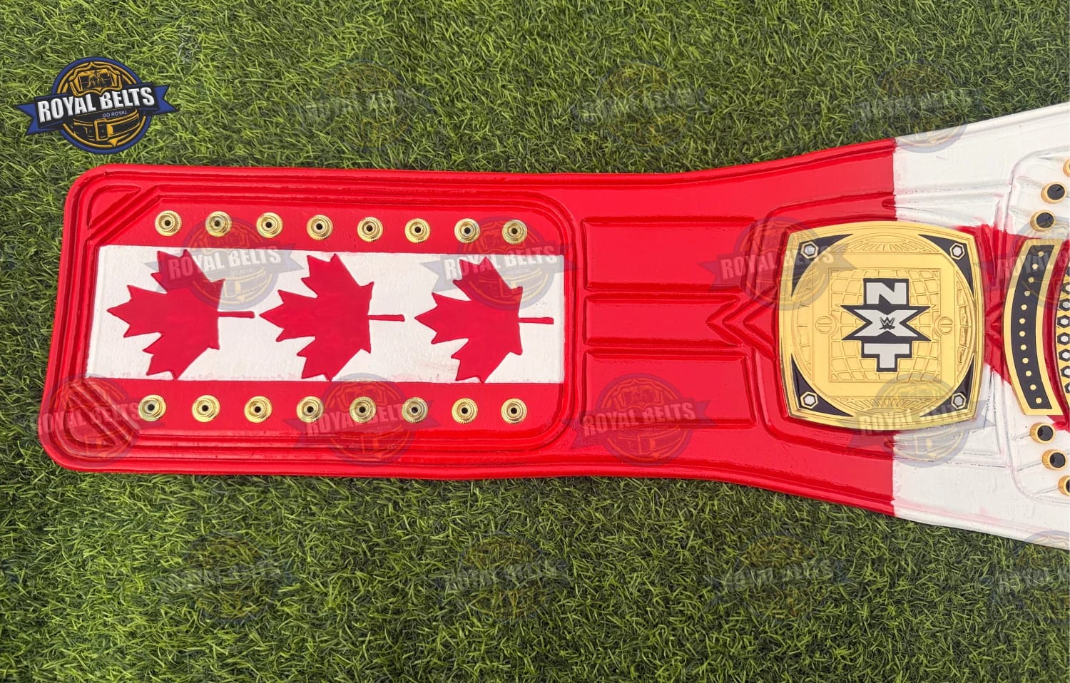 NXT North American Ethan Page Championship HD CNC title belt featuring ornate side plates and clean edges