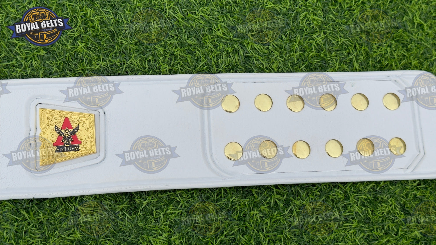 TNA World Knockouts Title Belt with ornate engraving and leather backing