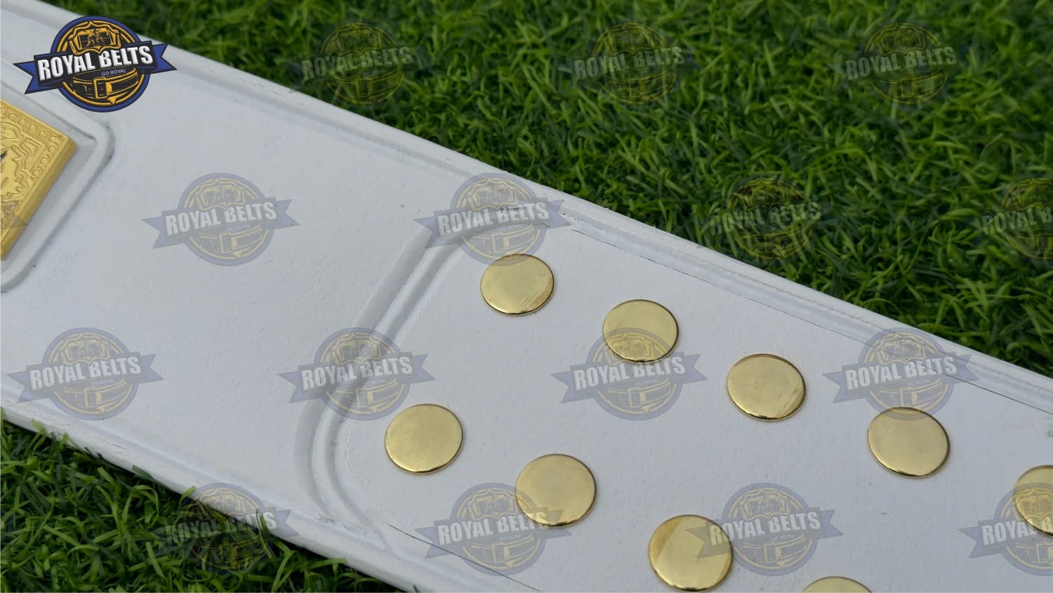 TNA World Knockouts Title Belt featuring raised gold center plate