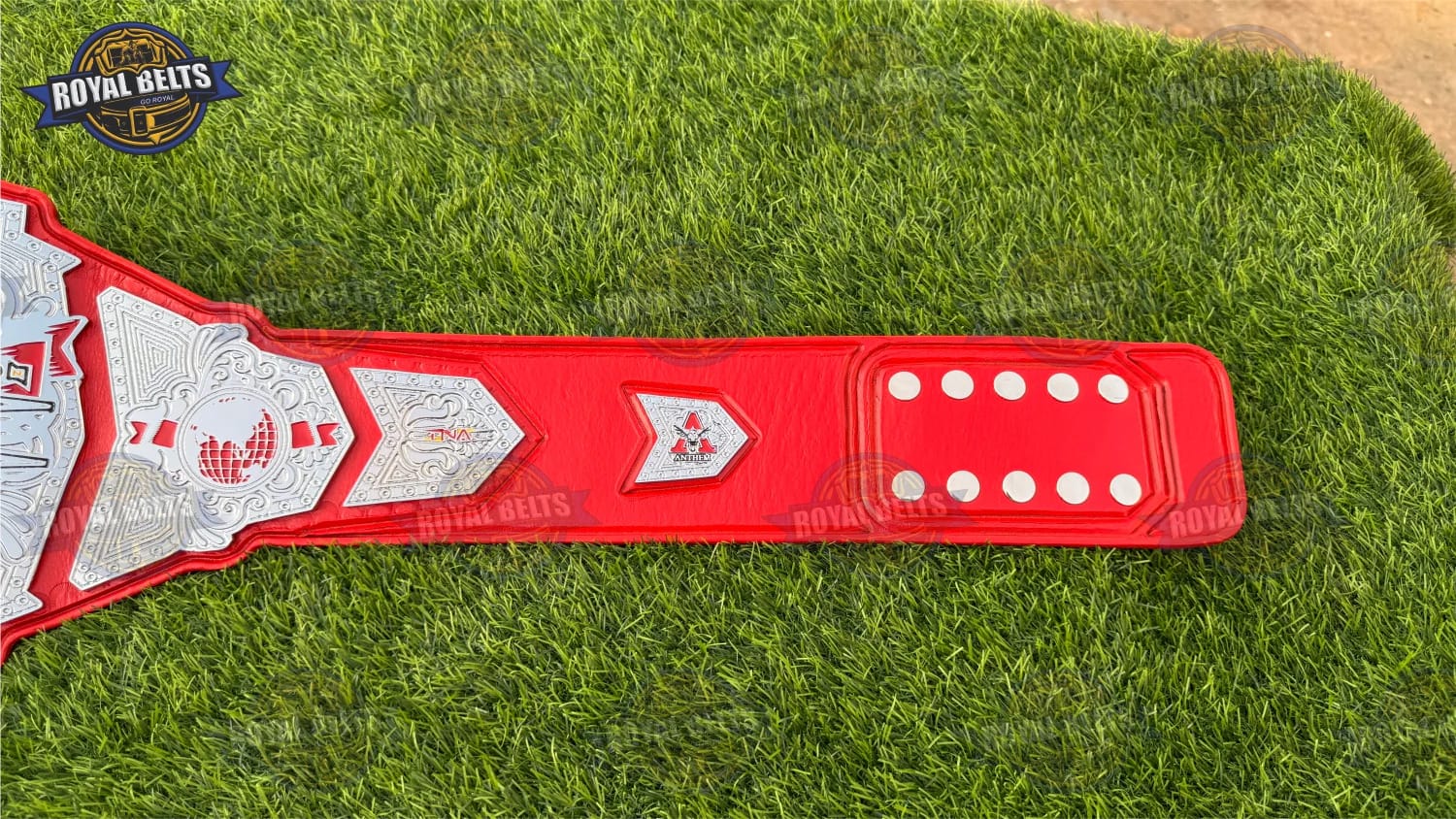 TNA World Championship Belt designed for display with polished nickel centerpiece