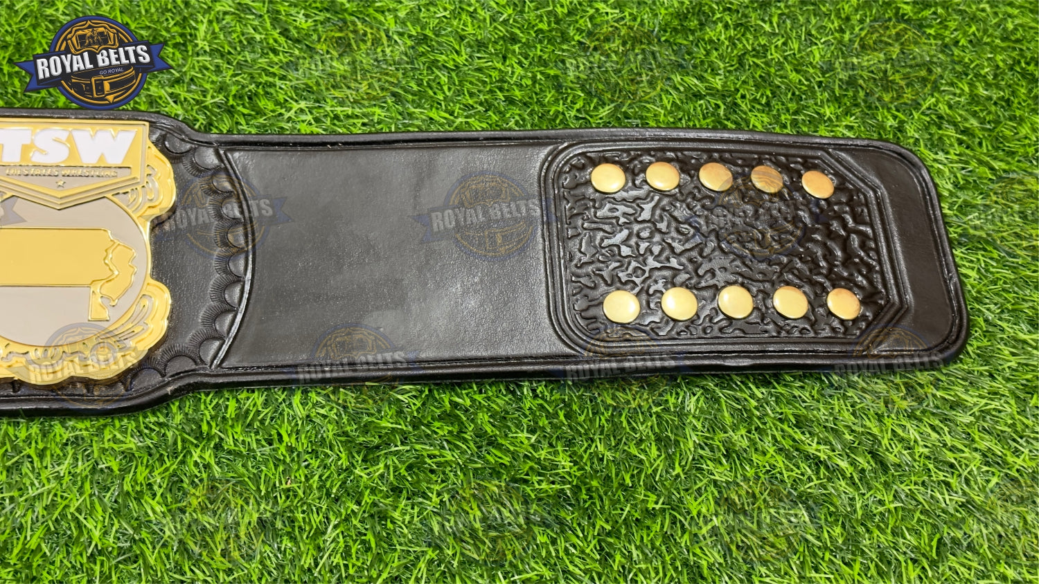 TSW custom heavyweight championship title belt with zinc CNC engraved side plates