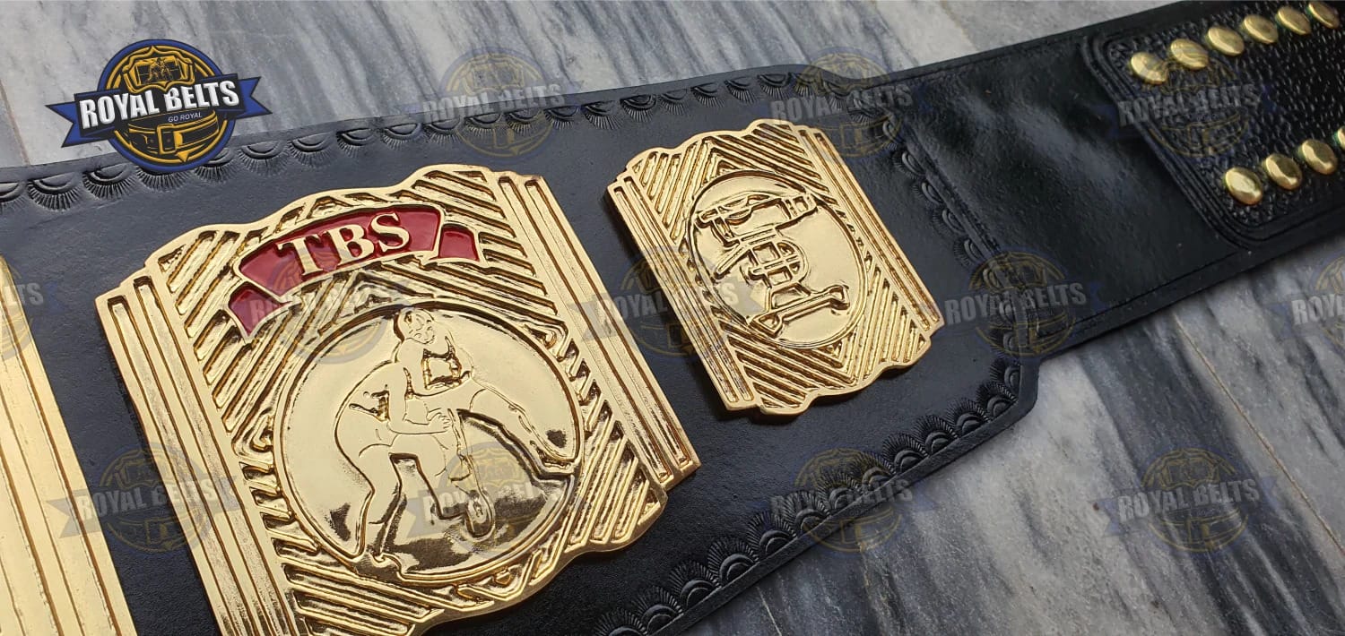 WCW World Television wrestling title belt for WCW fans