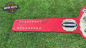 Wizard Coach of Year Title Belt custom zinc plated Coach of the Year championship belt Crafted by Royal Belts