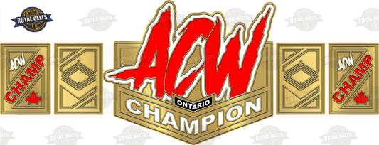 Custom wrestling championship title belt design with premium finish,24k gold plating